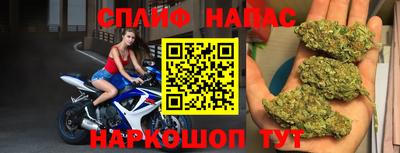 амф Славгород