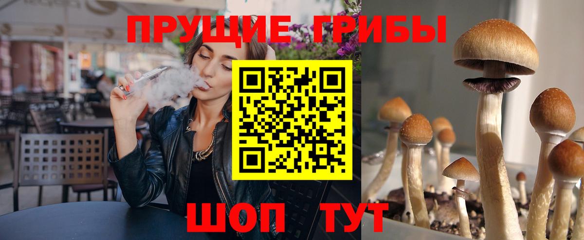 Галлюциногенные грибы Psilocybe  Вход с VPN  Сертолово 